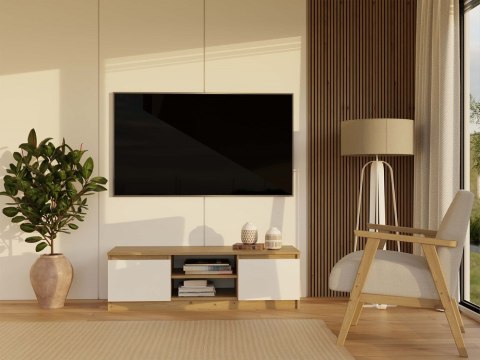 Szafka pod tv 120 cm RTV-501-ART-BIEL-MAT w aranżacji - widok z przodu.