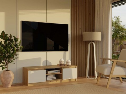 Wizualizacja salonu z produktem: zamknięta szafka rtv stojąca 120cm RTV-501-ART-KASZ.