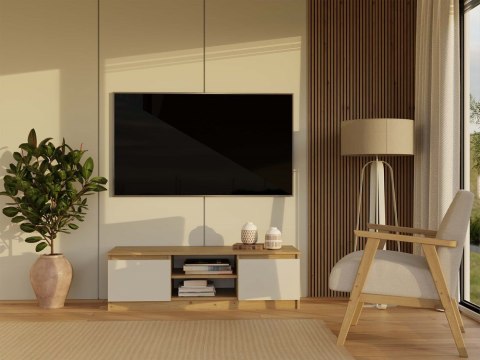 Szafka rtv stojąca 120cm RTV-501-ART-KASZ w aranżacji - widok od przodu.