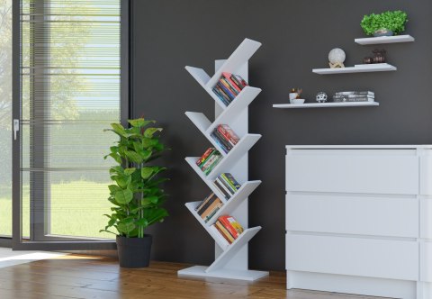 Regał RE-1428-BIEL-MAT w codziennym użytkowaniu – organizacja domowej biblioteczki i dekoracji.