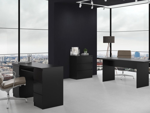 Niska komoda KOM-901-CZERN-MAT jako wielofunkcyjny stylowy element łączący ergonomię przestrzeni z nowoczesnym designem.